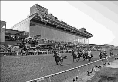  ?? DEBRA A. ROMA ?? After seeing an 80-1 shot win the Kentucky Derby, many casual bettors went longshot hunting in the Preakness, depressing the odds on a number of improbable horses in the field.