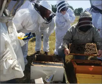  ?? COURTESY PHOTOGRAPH ?? The Beginning Beekeeping workshop will teach students everything they need to know about caring for bees, from how to approach a hive, how to open and inspect frames, to a bee’s basic biology.