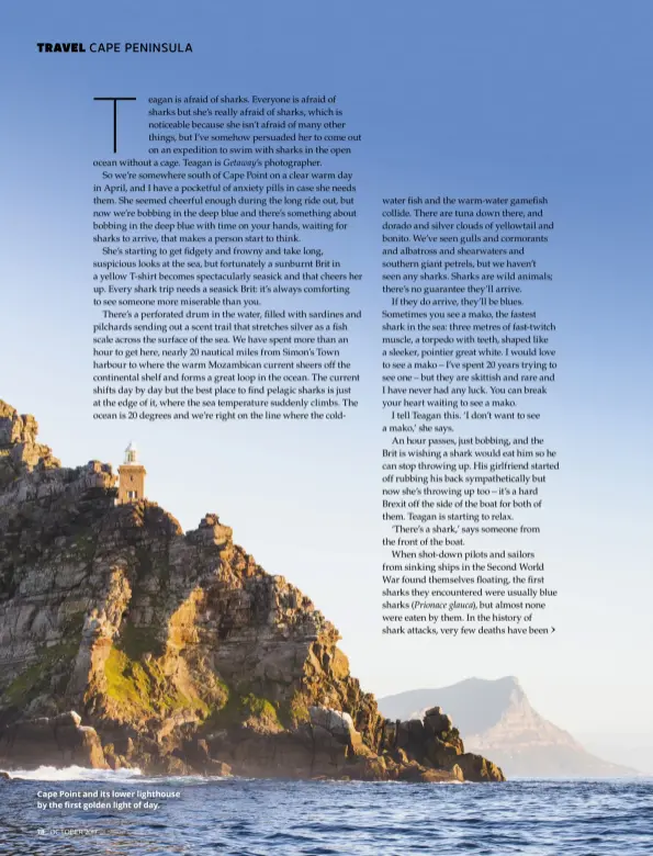  ??  ?? Cape Point and its lower lighthouse by the first golden light of day.