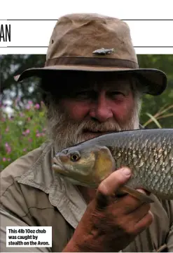  ??  ?? This 4lb 10oz chub was caught by stealth on the Avon.