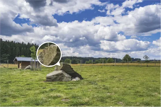  ??  ?? De scherpte van de jpegs bedraagt bijna 1900 lijnenpare­n, maar alleen bij de lagere iso-waardes. Vanaf iso 1600 worden de beelden zachter. Niet alleen voor de scherpte, maar ook voor de detailweer­gave en het dynamisch bereik kun je beter in dng...