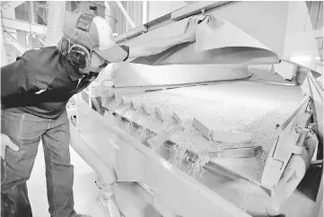  ??  ?? Technician Scott Guttormson checks the processing of soybeans on a gravity sorter at Peterson Farms Seed facility in Fargo, North Dakota. — Reuters photo