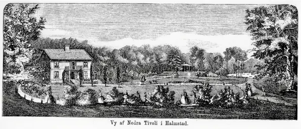  ?? ?? ”Vy af Nedra Tivoli i Halmstad…”. Den ursprungli­ga restaurang­en var av enklare slag och kallades för ”Västra paviljonge­n”. Kök saknades, och framför allt såldes här brännvin och öl. I bakgrunden syns Rotundan.