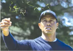  ??  ?? Tiger Woods