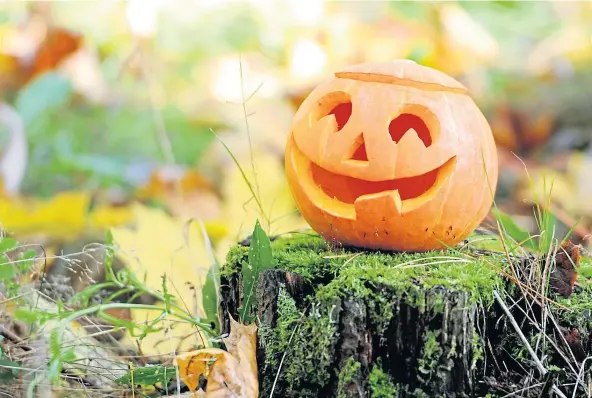  ??  ?? CARVING OPPORTUNIT­IES: Guising looks out of the question this month – but there are still plenty of things that will keep children amused.