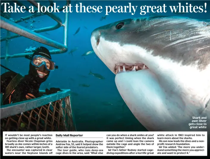  ??  ?? Shark and awe: Diver gets close to great white