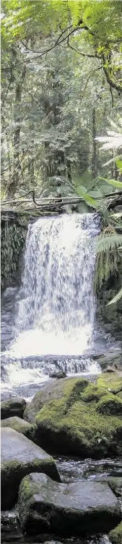  ?? BILD: SN/LUXBACHER ?? Horseshoe Falls im Mt. Field National Park.