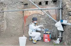  ?? ?? A restorer at work on an unearthed wall at the site.