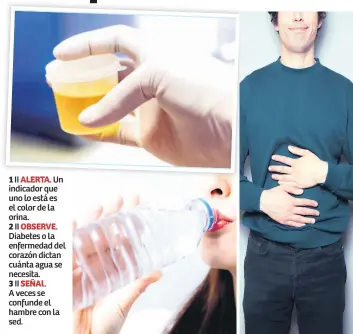  ??  ?? 1 II ALERTA. Un indicador que uno lo está es el color de la orina. 2 II OBSERVE. Diabetes o la enfermedad del corazón dictan cuánta agua se necesita. 3 II SEÑAl. A veces se confunde el hambre con la sed.