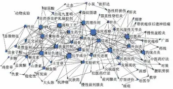  ??  ?? 图 4 2007－2016 年 CNKI数据库中壮药­研究文献的71高频关­键词（≥4次）共现网络图