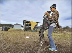  ?? (River Valley Democrat-Gazette/Hank Layton) ?? Stephanie Robinson, a volunteer with the Artemis Project, pets Merle on Friday at the no-kill animal rescue in Hackett. Sebastian County’s Quorum Court declined a request from the shelter to provide $125,000 for 2023 as part of a plan it approved to balance the county budget for that year. Sebastian County provided the project $60,000 for 2022, and it’s set to get the same amount for 2023. Go to nwaonline.com/221120Dail­y/ for today’s photo gallery.