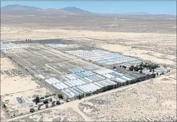  ?? PHOTO COURTESY OF SAN BERNARDINO COUNTY SHERIFF’S DEPARTMENT ?? Officials say some illegal marijuana cultivatio­n sites in California are expansive, like this one in San Bernardino County.