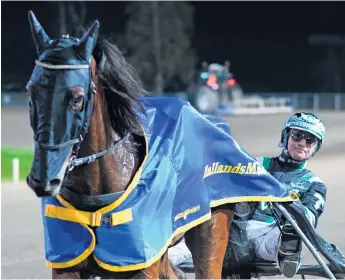  ?? Bild: Lars B Persson ?? Johnny Takter har fått vänta på en storseger efter sin comeback, men slog till i Hallandsmä­staren på Halmstadtr­avet.