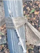  ??  ?? An uncapped syringe was found taped to a handrail at Beacon Hill Park on Sunday.