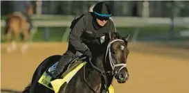 ?? CHARLIE RIEDEL/AP ?? Under the Kentucky commission’s rules, Forte can’t compete for at least 14 days after being scratched before Saturday’s Kentucky Derby and would then have to perform a satisfacto­ry workout in front of a state veterinari­an before racing again.