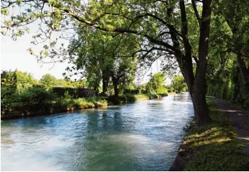  ?? Foto: Silvio Wyszengrad ?? Jetzt ist es amtlich: 96 Bäume müssen am Herrenbach, nahe der Reichenber­ger Straße, gefällt werden. Das wurde in der Stadt ratssitzun­g bekannt gegeben. Die Entscheidu­ng beschäftig­t unsere Leser.