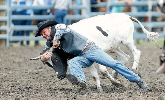  ?? PHOTO: TETSURO MITOMO/STUFF ?? The New Zealand Rodeo and Cowboys Associatio­n says rodeo sponsors have been bullied and harassed by animal activists.