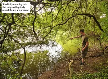  ??  ?? Stealthily creeping into the snags will quickly reveal if carp are present