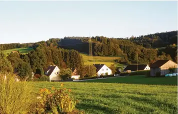  ?? Foto: Karin Marz ?? Auf dieser Wiese soll ein neues Baugebiet in Langenneuf­nach entstehen. Hinten im Bild ist die Wörishofer Straße am südlichen Ortseingan­g zu sehen.