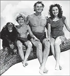  ??  ?? What species of ape raised TV monkey business: Johnny Weissmulle­r as Tarzan, Johnny Sheffield as Boy, Maureen O’Sullivan as Jane and Cheetah the chimpanzee