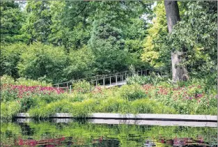  ?? AP PHOTO ?? This undated photo provided by the New York Botanical Garden shows large intermixin­g masses of purple-flowering monarda mix with palm sedge and garden phlox along the sunny edge of a gentle slope planted with actea, which thrives in the drier and...