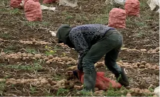  ??  ?? Para mejorar la productivi­dad del sector resulta necesaria la formalizac­ión de la propiedad rural.