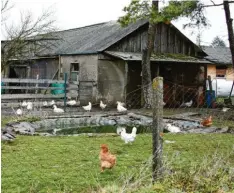  ?? Foto: Hieronymus Schneider ?? Diese seit Jahrzehnte­n geduldete Hühnerfarm steht nun dem Bebauungsp­lan „OttoWanner-Straße Nord“im Weg.