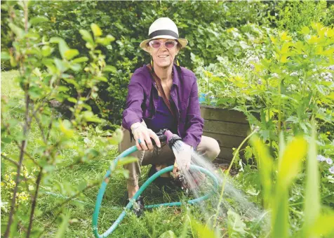  ?? RICHARD LAM/PNG ?? ‘I want people to open their eyes and pay attention to native plants and to learn more about the land that we’re now calling our home,’ says Metis herbalist and educator Lori Snyder.