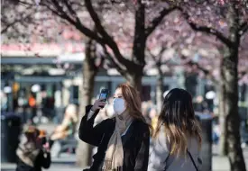  ?? FOTO: JESSICA GOW/ LEHTIKUVAA­FP ?? Körsbärstr­äden blommar som vanligt i Stockholm – där Sverige nu tillämpar den öppnaste covid-19-strategin i Norden.