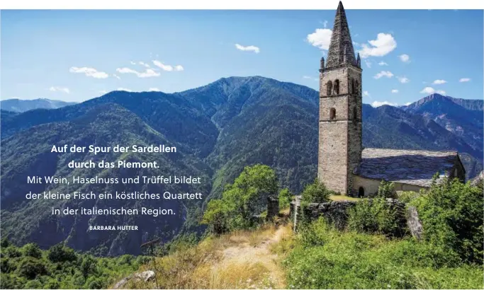  ?? ?? Keine Küste, aber Weingärten und beachtlich­e Berggipfel: Ausblick im Piemont über das Val Maira auf die Cottischen Alpen.