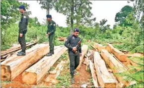  ?? GRK NEWS VIA FACEBOOK ?? More than 15 cubic metres and a total of 15 trucks were seized by the National Committee for the Prevention of and Crackdown on Natural Resources Crimes in eight cases on Sunday.