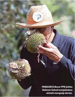  ??  ?? PENGURUS Besar PPK Jelebu Rahmat Sohod menjalanka­n
aktiviti mengutip durian.