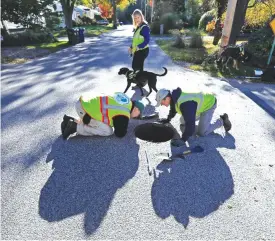  ??  ?? SOUTH PORTLAND: In this Tuesday, Oct 11, 2016, photo, Scott Reynolds of Environmen­tal Canine Systems, left, and Fred Dillon, the storm-water program coordinato­r for the city of South Portland, Maine, inspect a storm water drain pipe. — AP