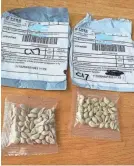  ?? WASHINGTON STATE DEPT. OF AGRICULTUR­E ?? The Washington State Department of Agricultur­e said it has received reports of people receiving seeds in the mail from China they didn’t order.