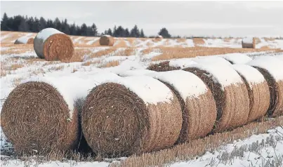  ??  ?? The SRUC’s study into spot market straw prices warns that farmers will face higher costs.