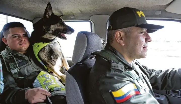  ?? Fotos: Fernando Vergara/ap, dpa ?? Gut gesichert: Hündin Sombra mit ihren Begleitern, zwei Polizisten der kolumbiani­schen Drogenfahn­dung, in einem Einsatzfah­rzeug.