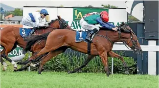  ?? PHOTO: RACE IMAGES ?? Bonneval obscures Savvy Dreams (inside) as they hit the post locked together in the Lowland Stakes with Devise third.