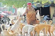  ?? SANCHIT KHANNA/HT ?? Pratima Devi says her old age does not allow her to work and it becomes difficult to pay for the upkeep of her dogs.