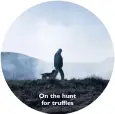  ??  ?? On the hunt
for truffles