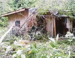  ?? [ FOTO IHSAN PEMBACA ] ?? Keadaan rumah yang dihempap pokok tumbang di Kampung Meninitir, di Keningau.