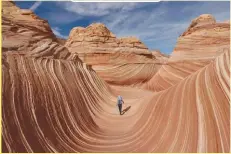  ??  ?? MARK RALSTON/AFP/GETTY IMAGES Hikers walk amongst the unique U-shaped troughs of The Wave rock formation at the Coyotes Buttes North wilderness area near Page, Arizona, the US.