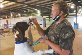  ?? (NWA Democrat-Gazette/Flip Putthoff) ?? Kimberly Caswell of Gentry gives on of her goats a treat Tuesday at the Benton County Fair. Dairy cattle judging was held Wednesday. The fair runs through Friday, but only entrants and their families are allowed at the fair this year, said Susan Koehler, fair manager. Go to nwaonline.com/ 200805Dail­y/ to see more photos.