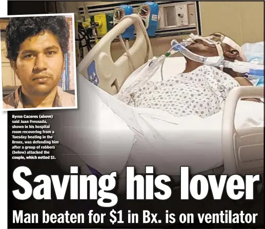  ??  ?? Byron Caceres (above) said Juan Fresnada, shown in his hospital room recovering from a Tuesday beating in the Bronx, was defending him after a group of robbers (below) attacked the couple, which netted $1.