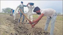  ?? PICTURE BY PANKAJ JAISWAL/HT ?? MNREGS work in progress in a village in Hamirpur.