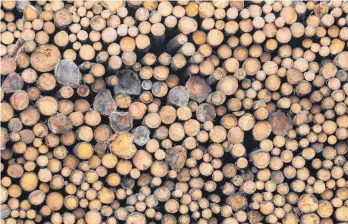  ?? FOTO: ARMIN WEIGEL/DPA ?? Firma Aurnhammer möchte erweitern. Das Unternehme­n ist auf Holzverarb­eitung spezialisi­ert.