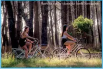  ??  ?? Rando cyclo dans la forêt landaise