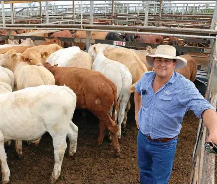  ?? PHOTO: CONTRIBUTE­D ?? SALE DAY: Grant, Daniel & Long Roma selling agent Geoff Maslen with the top pen of the S.J Todd, Brigalow Downs, Bollon, charolais-cross steers, which sold to 372c/kg for an average 287kg to return $1069/head.
