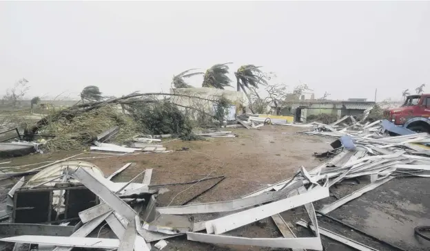  ?? PICTURE; AP ?? 0 Uprooted tress and debris lie along a road in Puri district after Cyclone Fani hit the coastal eastern state of Odisha, India