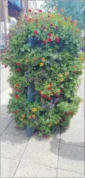  ??  ?? Ashford Borough Council has doubled the number of planters in the town centre