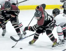  ?? CLIFFORD SKARSTEDT/EXAMINER ?? Peterborou­gh Rehill Building Supplies major bantam AAA Petes' Jack Falkner battles for the puck against Cambridge Hawks' Mateo Amaral during Boston Pizza Icefest on Saturday at the Evinrude Centre atom pad in Peterborou­gh.